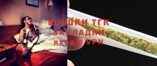 ПСИЛОЦИБИНОВЫЕ ГРИБЫ Верея