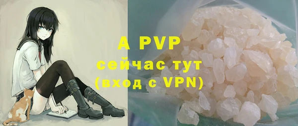 ПСИЛОЦИБИНОВЫЕ ГРИБЫ Верея