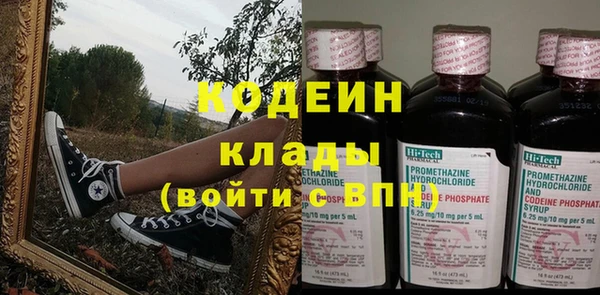 ПСИЛОЦИБИНОВЫЕ ГРИБЫ Верея