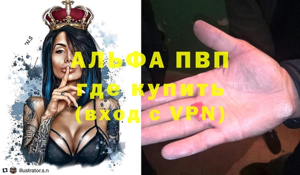 ПСИЛОЦИБИНОВЫЕ ГРИБЫ Верея