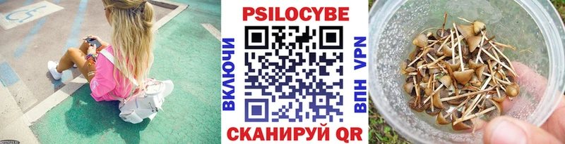 даркнет сайт Берёзовка Псилоцибиновые грибы Psilocybe
